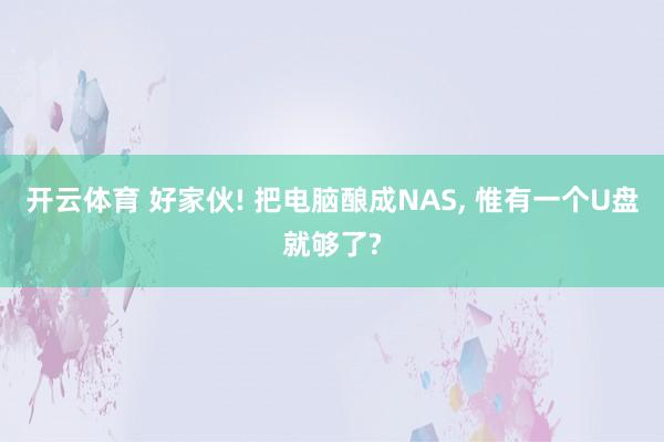 开云体育 好家伙! 把电脑酿成NAS, 惟有一个U盘就够了?